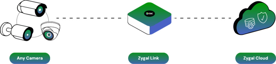 zygal link